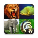 Logo of Animals Encyclopedia android Application 