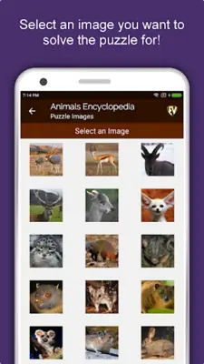 Animals Encyclopedia android App screenshot 9