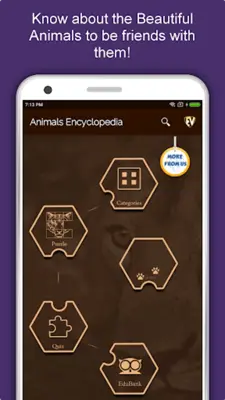 Animals Encyclopedia android App screenshot 15