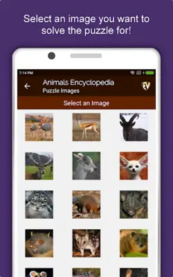 Animals Encyclopedia android App screenshot 1